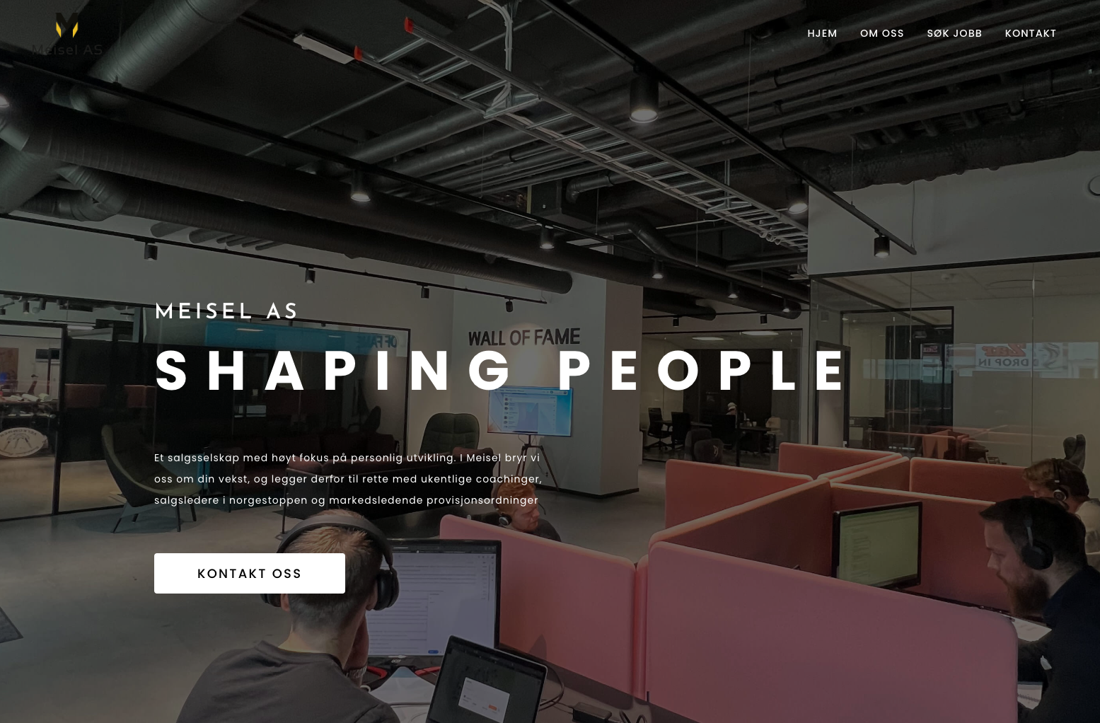 Website - Meisel